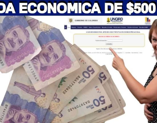 Ayuda Económica Para Jefes Y Jefas De Hogar Bono De 500.000 Mil