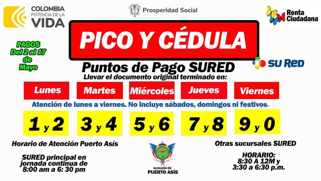 CRONOGRAMA DE PAGO PICO Y CEDULA RENTA CIUDADANA 2024 1