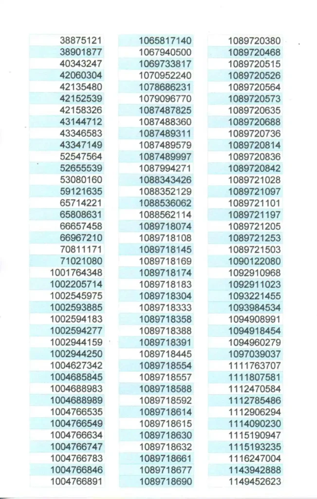 LISTADO DE BENEFICIARIO DEVOLUCION DEL IVA 2024