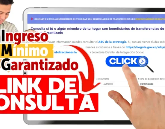 Imagen del link de consulta del Ingreso Mínimo Garantizado 2025 de Bogotá