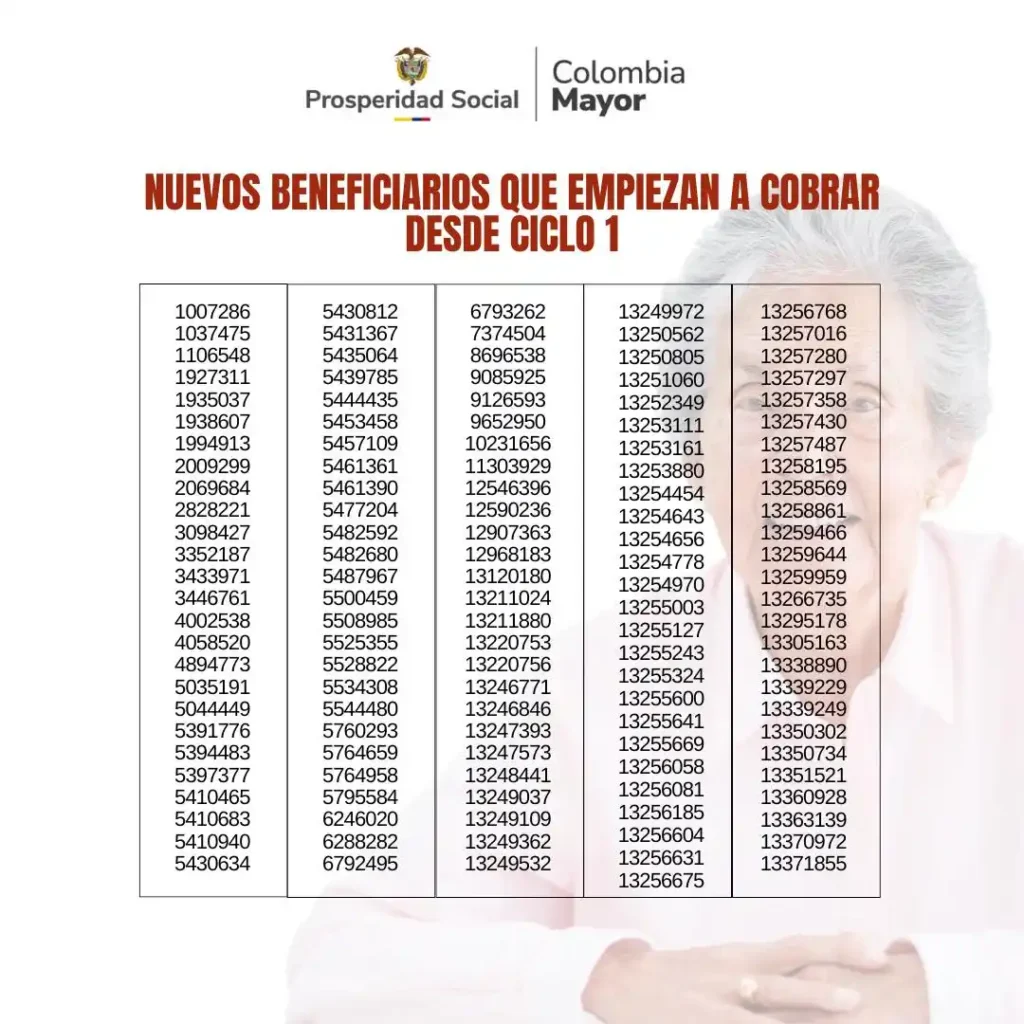 Beneficiarios del Subsidio de 225 Mil