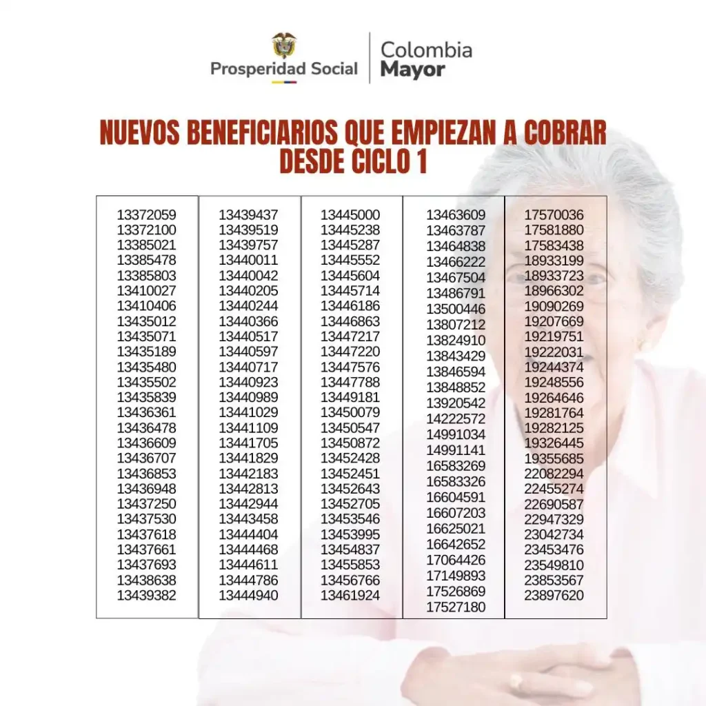 beneficiarios del subsidio de 225 mil 1