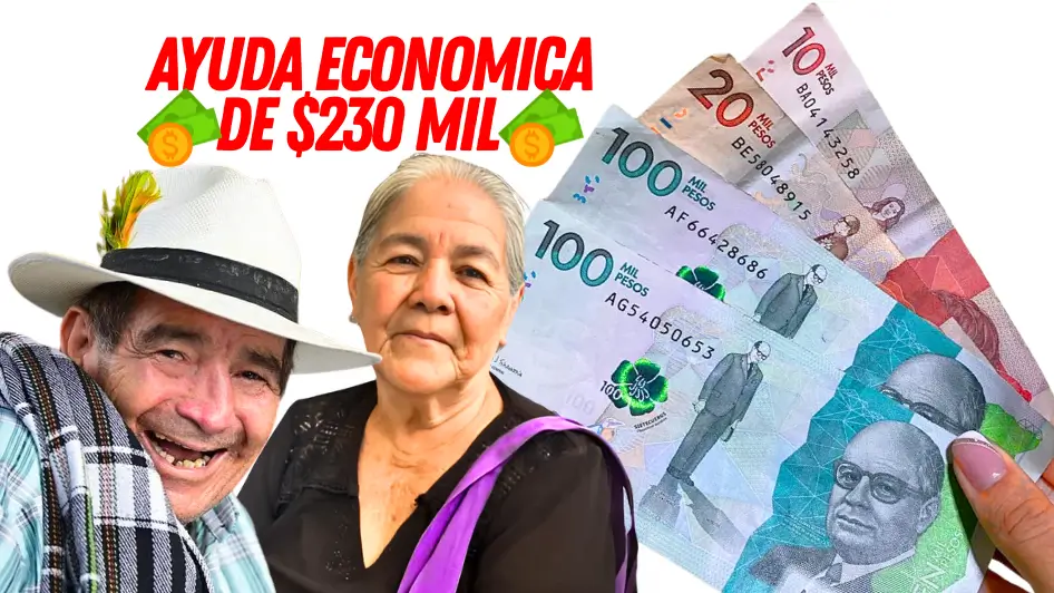 Inicia Ayuda Humanitaria en el Catatumbo 2025: ¿Quiénes Reciben los $230.000? 1 Ayuda humanitaria en el Catatumbo, dinero colombiano y adultos mayores