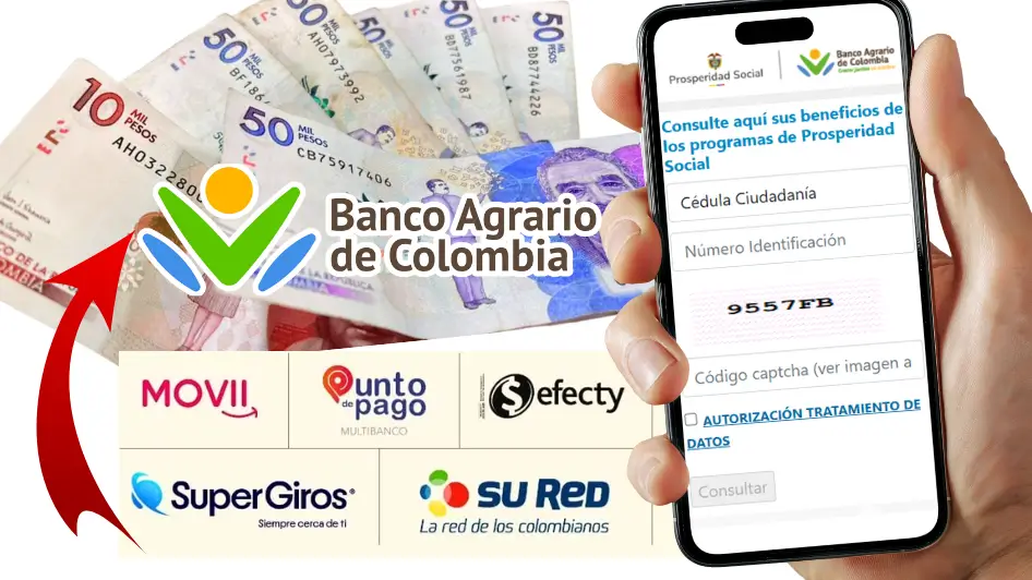 Canales para cobrar Renta Ciudadana, IVA y Colombia Mayor