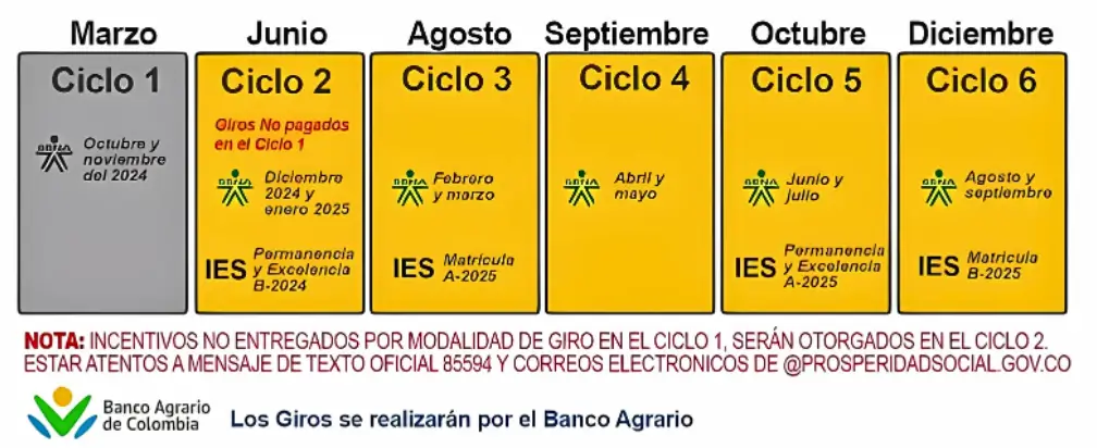 Este Sería el Calendario de Pago del Subsidio Renta Joven para Todo el Año Según Alcaldía 2 Calendario de Pago del Subsidio Renta Joven