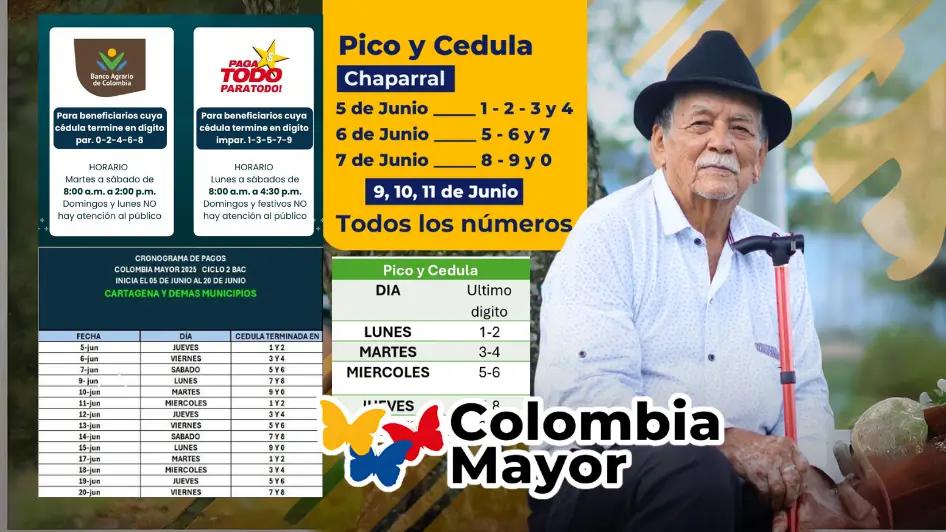Cuándo Pagan Colombia Mayor