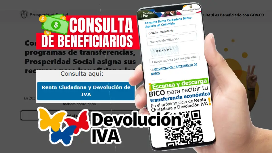 Consultar la Devolución del IVA