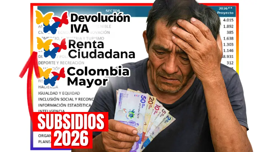 Subsidios en 2026