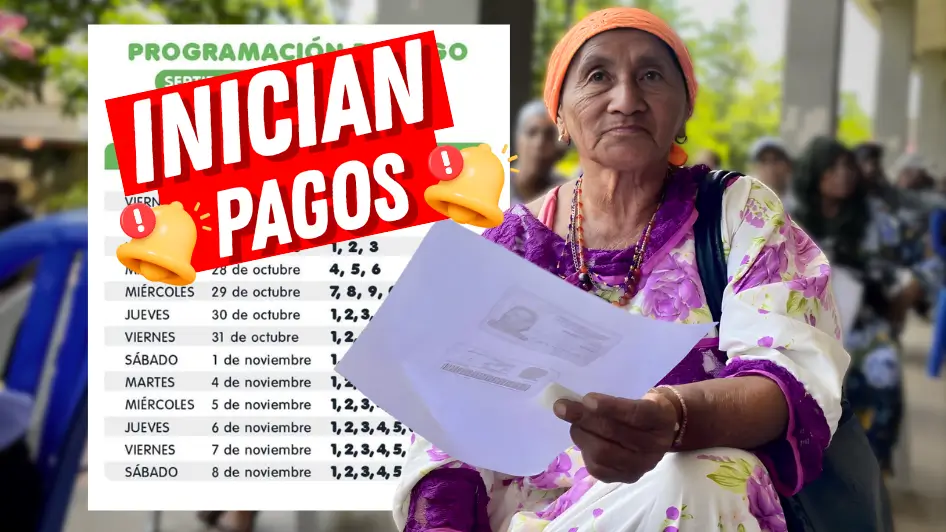 Subsidio Distrital para Adultos Mayores