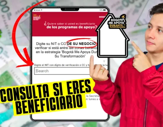 apoyos económicos