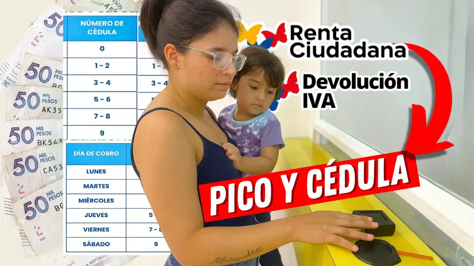 Renta Ciudadana pico y cédula