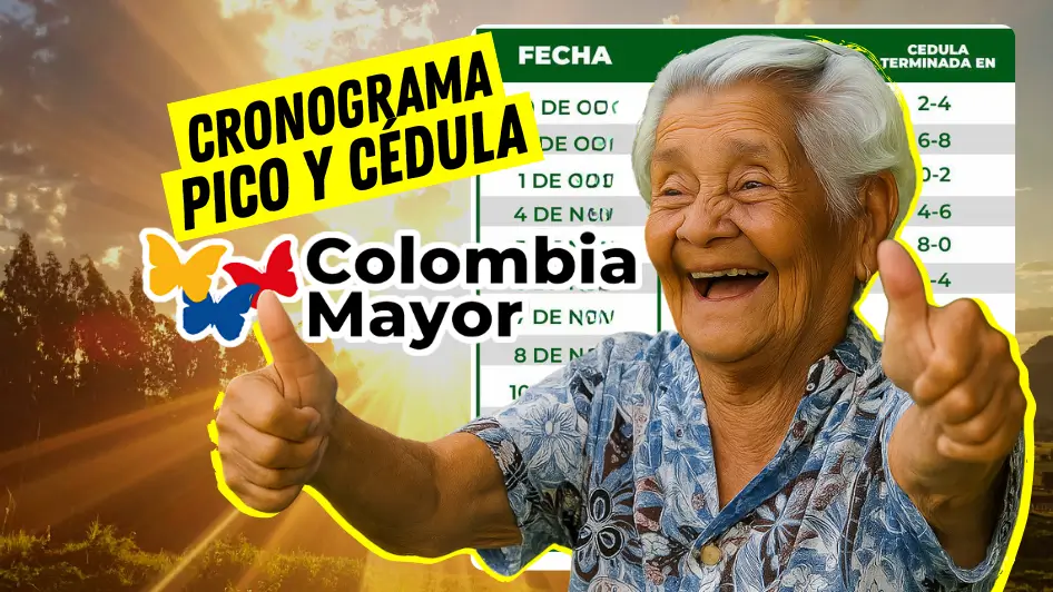 Cronograma pico y cédula