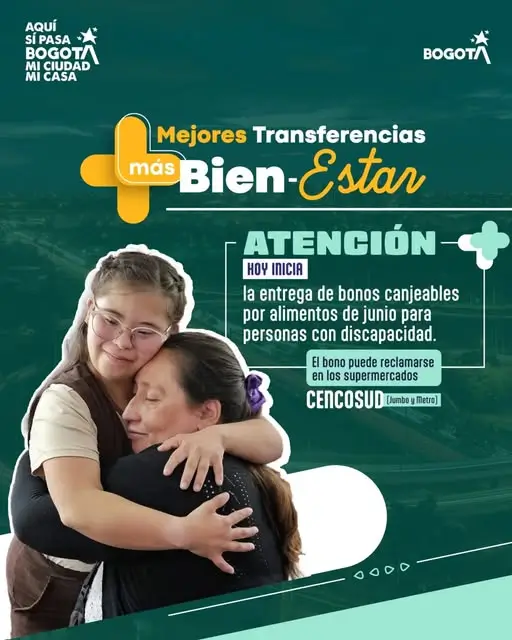Ingreso Minimo Garantizado para personas con discapacidad bonos disponibles