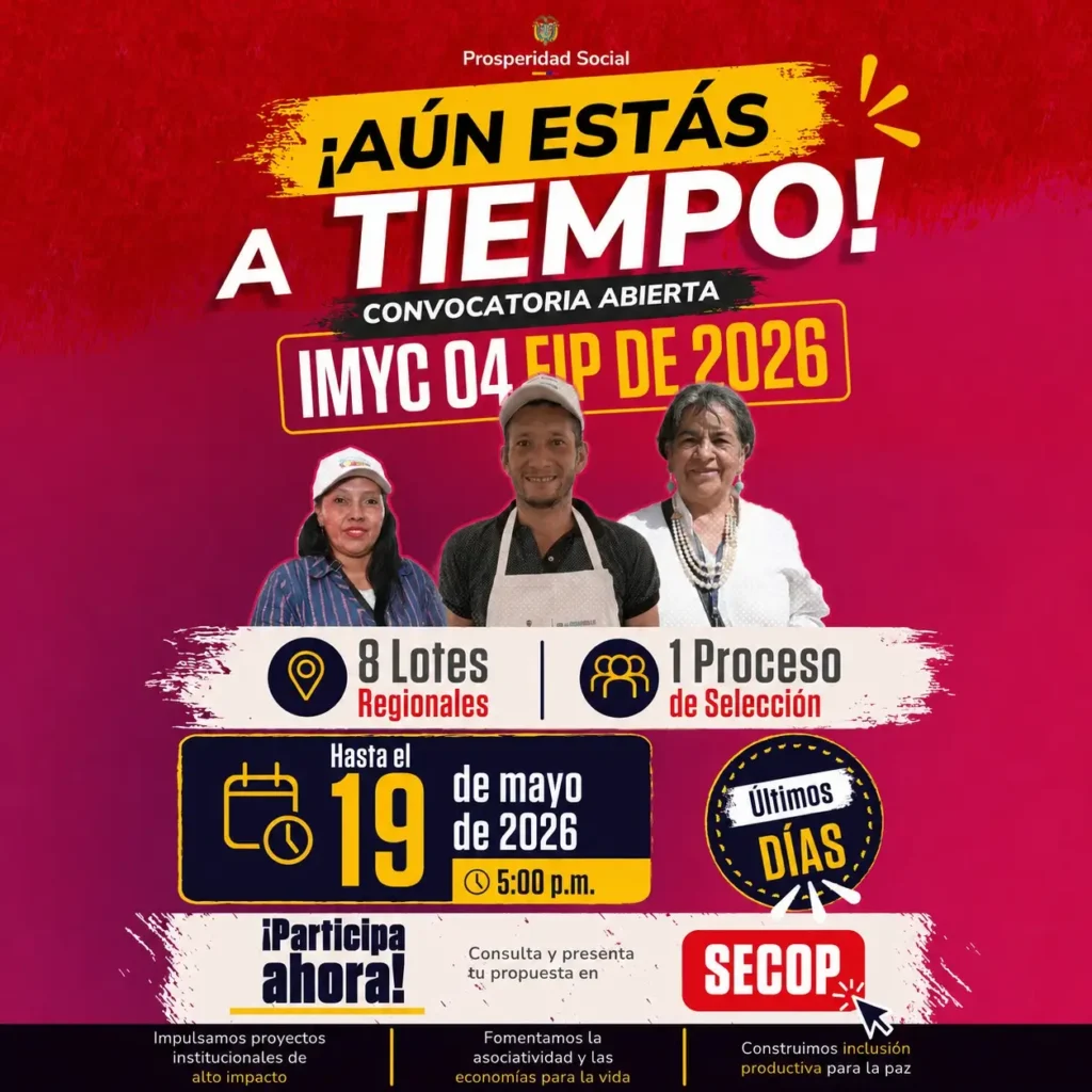 Convocatoria IMYC 04 FIP